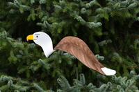 Image Dancing Birds - Bald Eagle