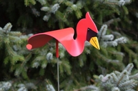 Image Dancing Birds - Backyard Birds