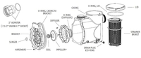 Image Sequence Primer Basket Lid O-Ring - #9000.777