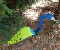 Image Dancing Bird - Peacock