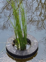 Image Floating Pond Planter - Round