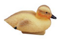 Image Duckling Decoy