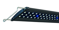 Image Ultra-Slim Blue/White LED Light by Lifegard Aquatics